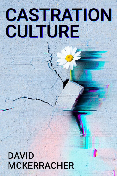 Cover of Castration Culture